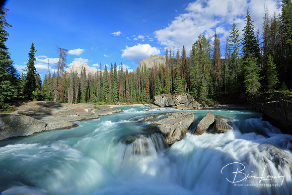 Yoho National Park