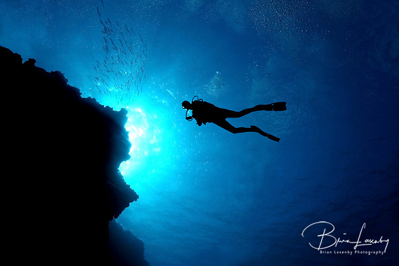 Palancar Reef, Cozumel