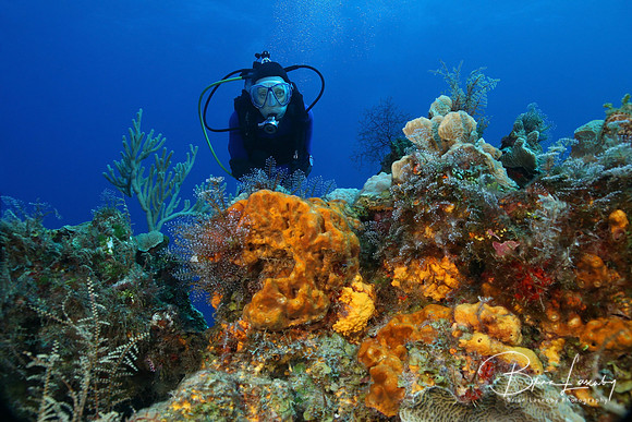 Roatan, Honduras