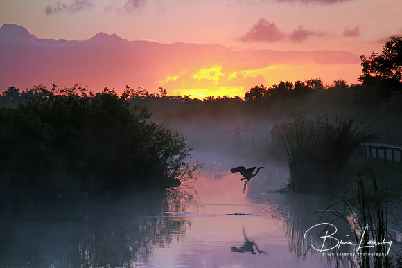 Everglades at Sunrise