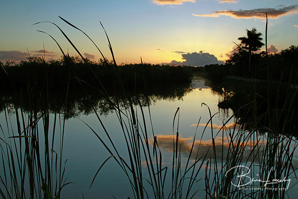 Everglades at Dawn