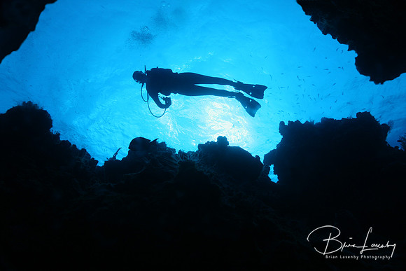 Diver - Palancar Reef, Cozumel
