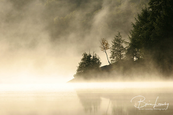 Turtle Rock Mist 007