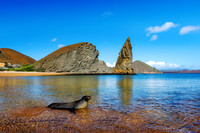 Sea Lion - Rabidas Island, Galápagos