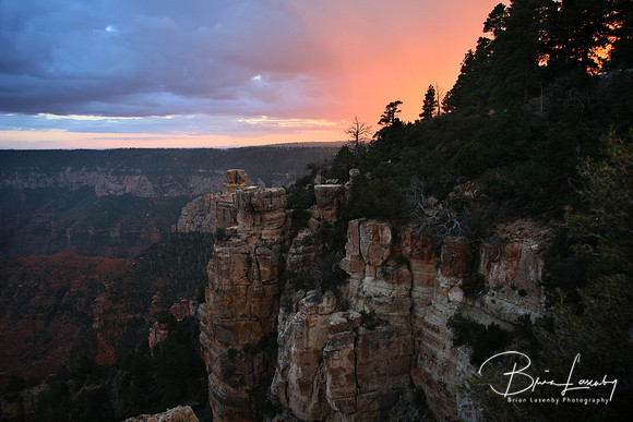 5 Stock Grand Canyon379