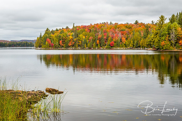 Fall Color on a Lake in Algonquin Provincial Park, Ontario, Cana