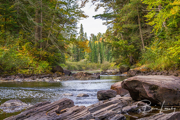 River Running Through a Forest in Early Fall