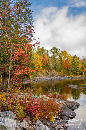 Northern River in Autumn - Algonquin Provincial Park