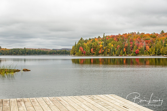 Lake with Fall Colours and Dock in the Foreground - Algonquin Pr