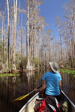 Canoeing Through a Southern Swamp
