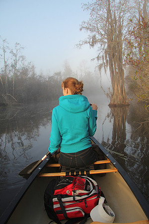 Canoeing Through a Southern Swamp
