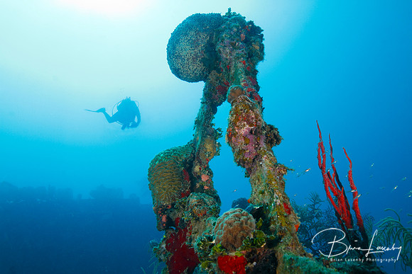 Diver Descending Toward Shipwreck Scaffolding