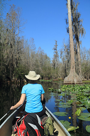 Canoeing Through a Southern Swamp