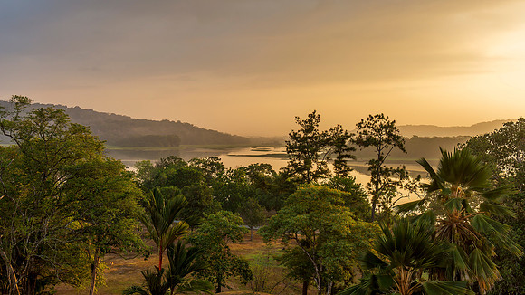 Chagres River in Panama at Dawn