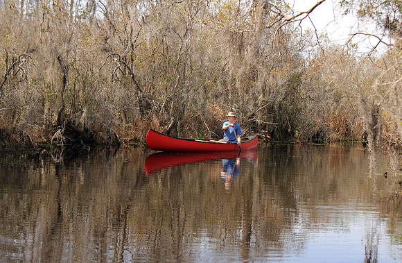 Canoeing in a Southern Swamp