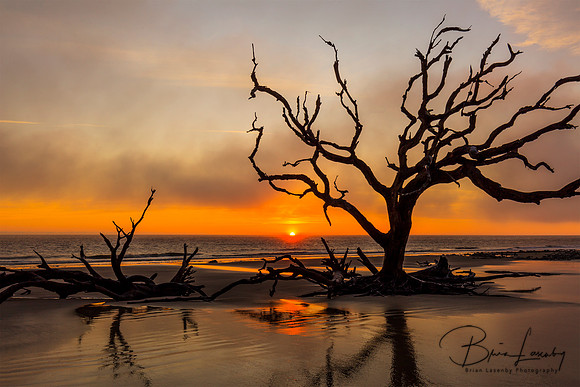 Driftwood Beach at sunrise