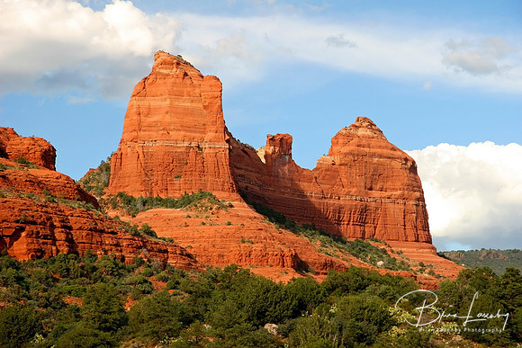 Stock Sedona1005