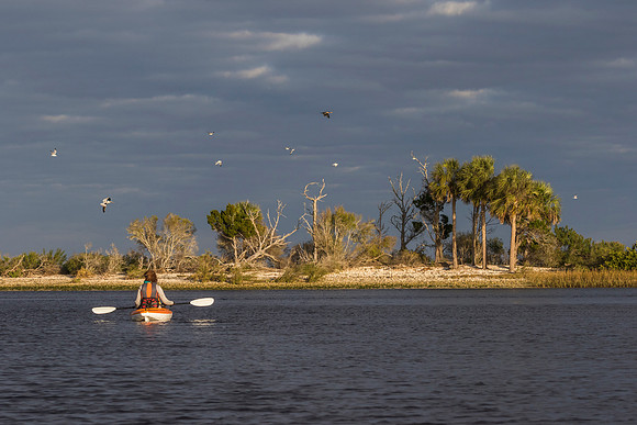 Woman kayaking in the Gulf of Mexico with birds flying overhead