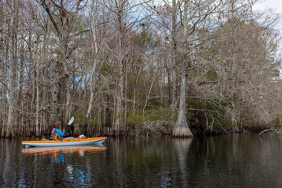 Kayaking on the Withlacoochee River - FL