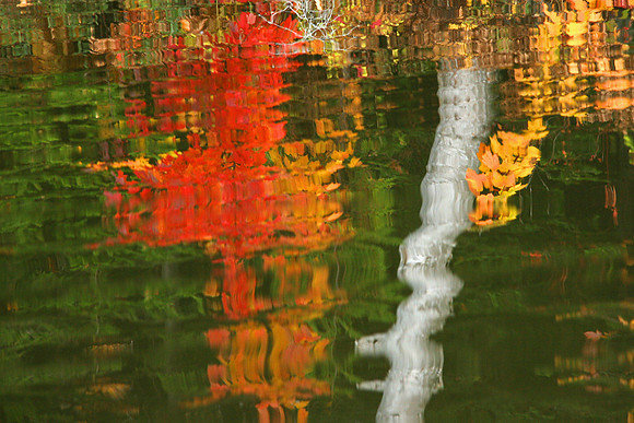 Autumn Reflections 1309