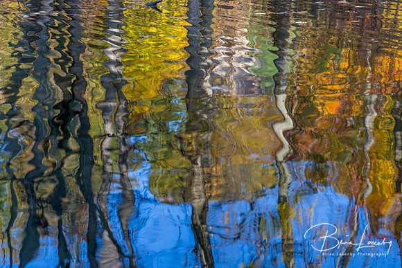 Old Ausable Channel reflection - Grand Bend, ON