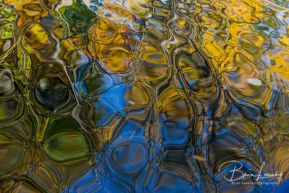 Old Ausable Channel reflection - Grand Bend, ON