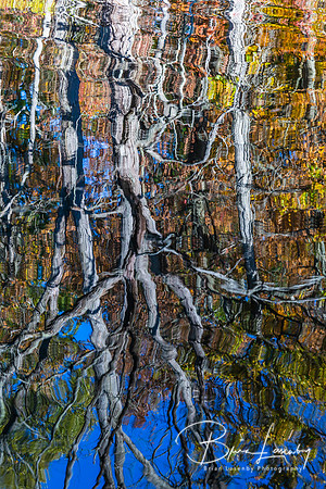 Old Ausable Channel reflection - Grand Bend, ON