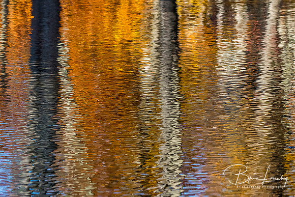 Old Ausable Channel reflection - Grand Bend, ON