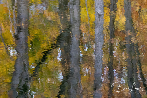 Old Ausable Channel reflection - Grand Bend, ON