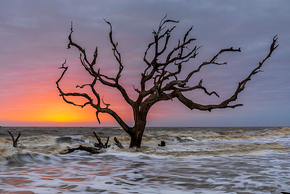 Jekyll Island