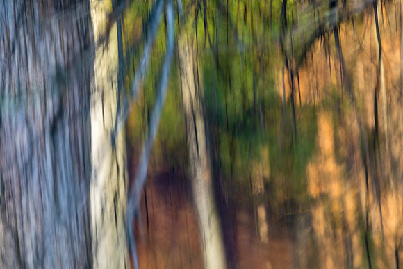 Old Ausable Channel reflection - Grand Bend, ON