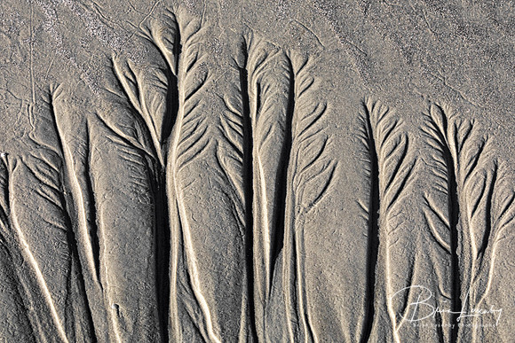 Ebb Tide Patterns in Sand - Jekyll Island, GA