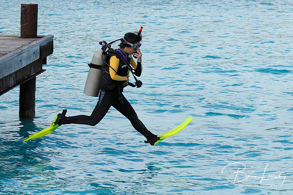 Scuba Diver Performing a Giant Stride Entry From a Dock - Bonair