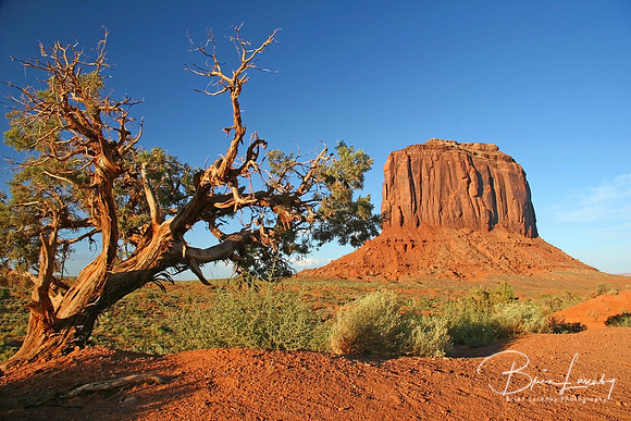Stock Monument Valley 377