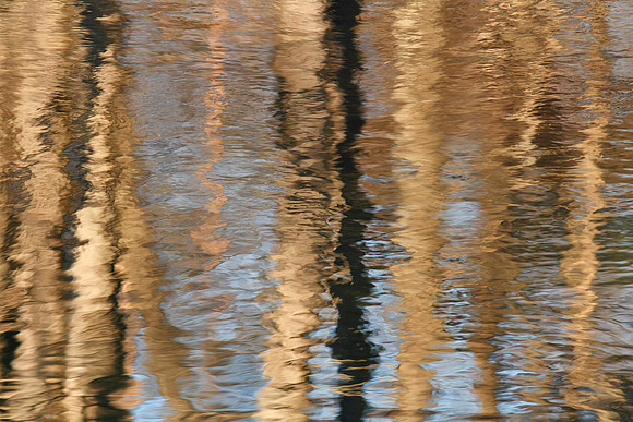 Old Ausable Channel - Reflections