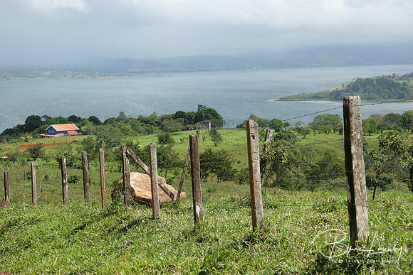Stock Arenal Fence 008