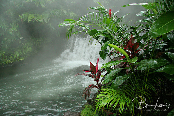 Tabacon Hot Springs
