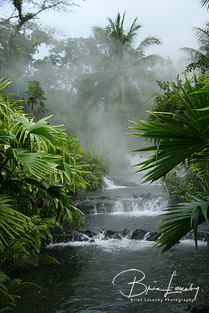 Tabacon Hot Springs