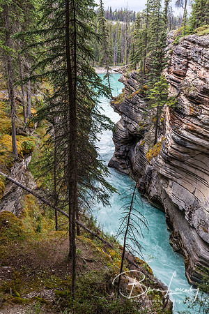 Waterfall in the Canadian Rocky Mountains- Jasper National Park