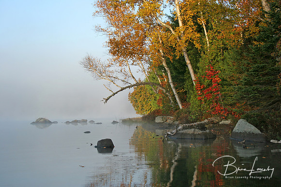 Autumn Shoreline - Haliburton, Ontario