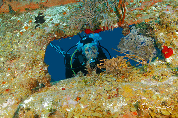 Scuba Diver Peering out From Opening in Shipwreck - Roatan